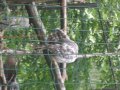 IMGP0932.JPG